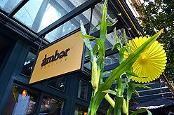 AMBER BBQ AND HOE DOWN